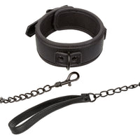 Nocturnal Collection  Collar and Leash - Black