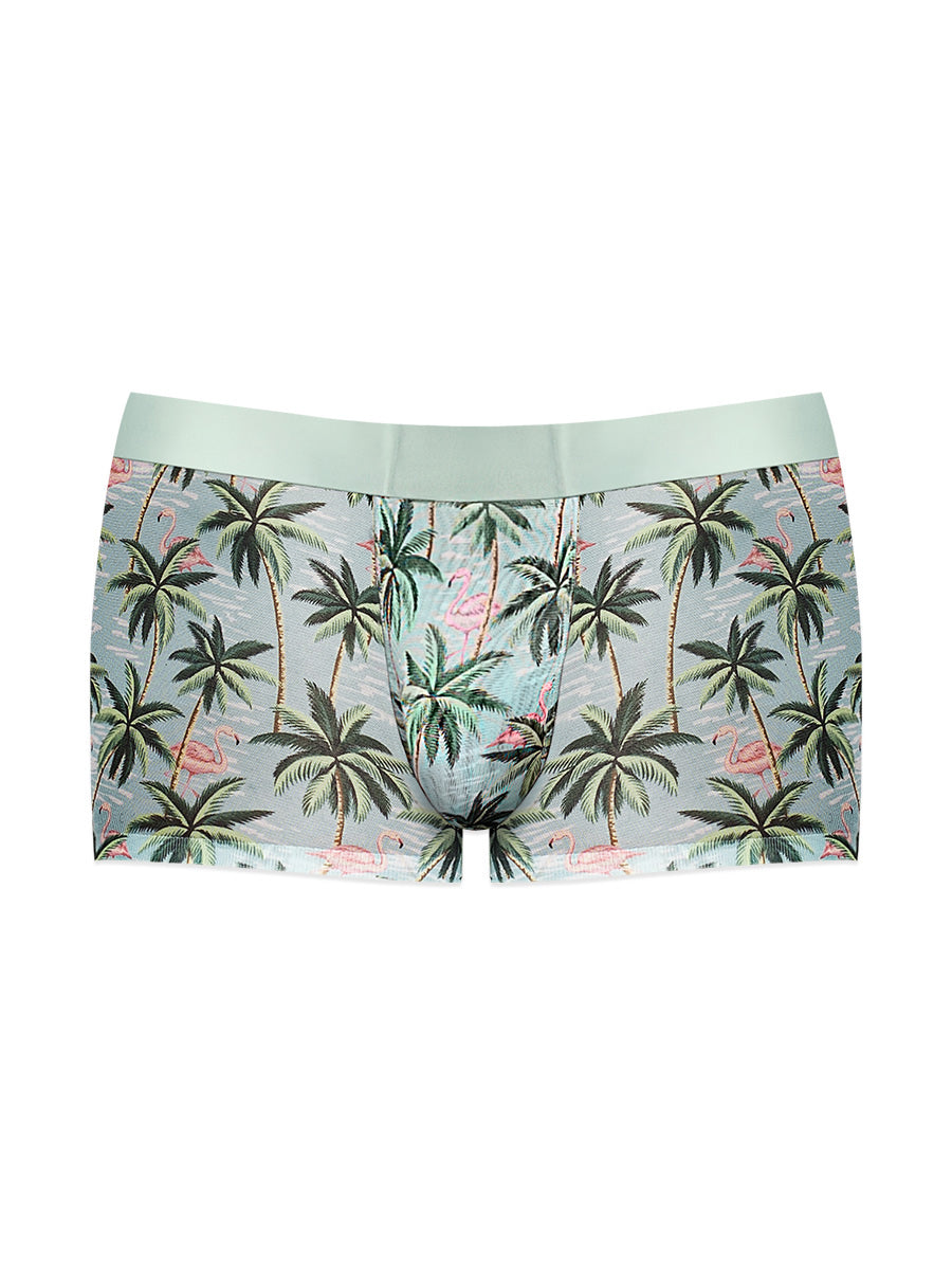 Sheer Prints - Seamless Sheer Short - Large -  Flamingo