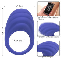 Calexotics Connect Couples Ring - Periwinkle