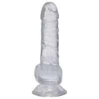 Dick in a Bag 6 Inch - Clear