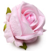 The Rose Lover's Gift Box - Pink