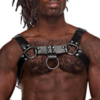 Aries Leather Harness - One Size - Black