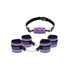 Ff Purple Pleasure Bondage Set